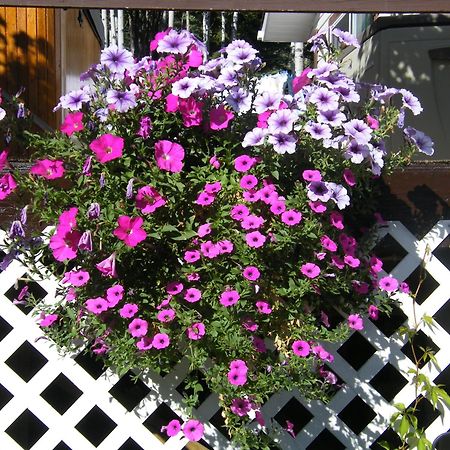 Silvern Lake Trail Bed&Breakfast Smithers Exterior foto